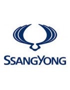 Misutonida přední rámy a nášlapy pro vozy SsangYong Kyron